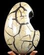 Septarian Dragon Egg Geode - Black Crystals #37283-4